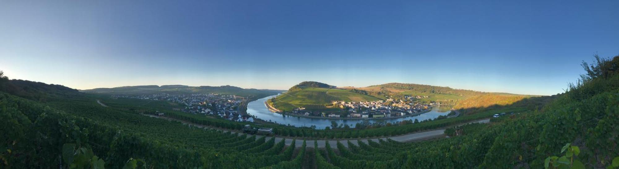 Gästehaus und Weingut Bernd Frieden Nittel Exterior foto