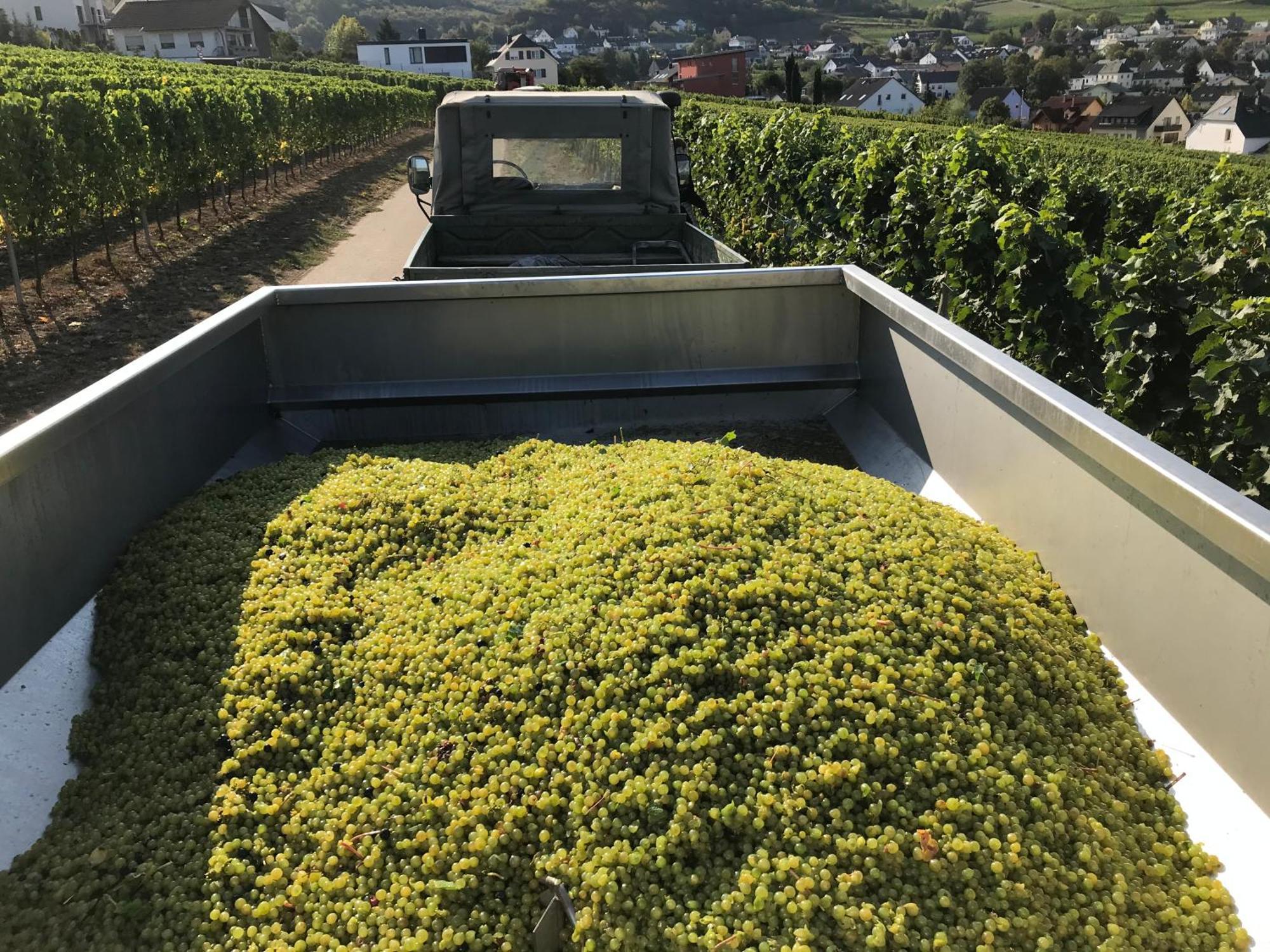 Gästehaus und Weingut Bernd Frieden Nittel Exterior foto